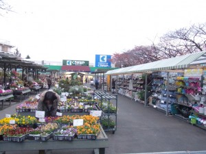 RIMG0068
