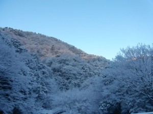 RIMG0116