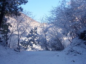 RIMG0136