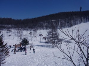 RIMG0166