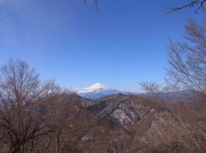 RIMG0224