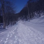 RIMG0283
