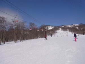 RIMG0317